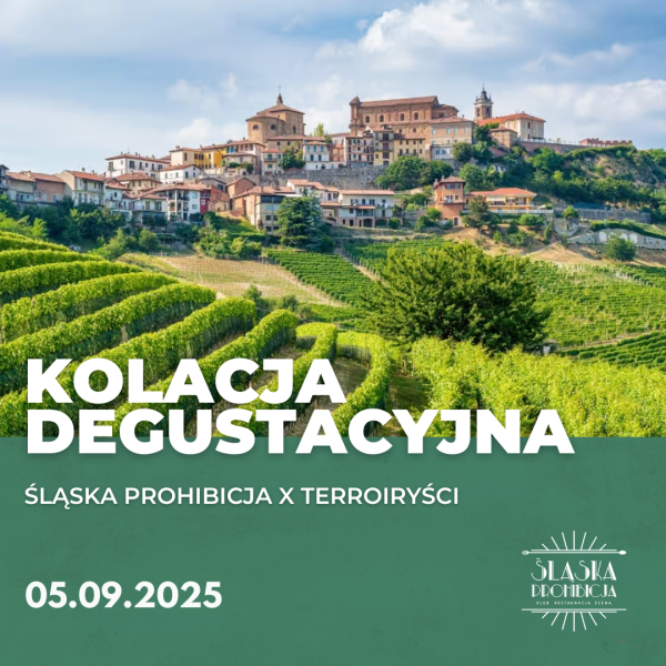 Śląska Prohibicja x Terroiryści
